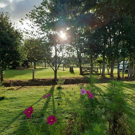 Erfgoed De Boemerang - Chalets Meppen エクステリア 写真