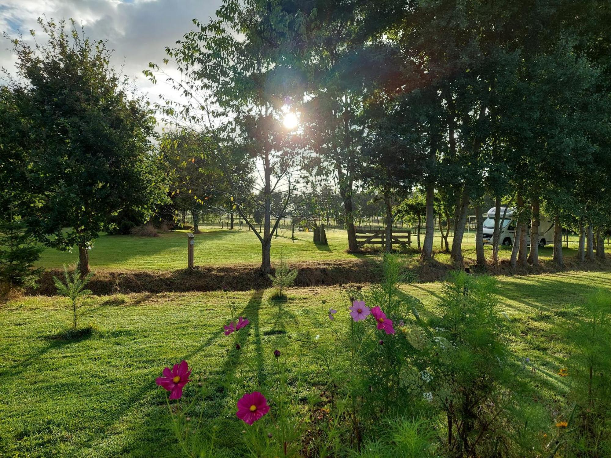 Erfgoed De Boemerang - Chalets Meppen エクステリア 写真